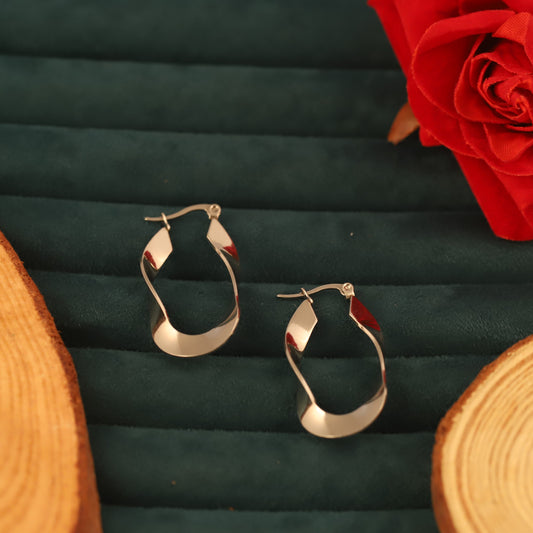 Silver Plated Stainless Steel Earrings