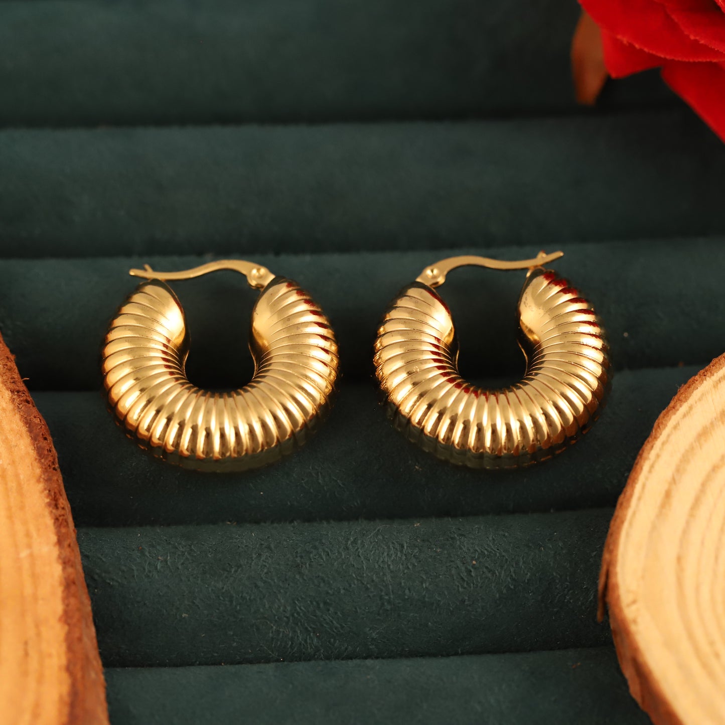 Coil Hoops Earrings