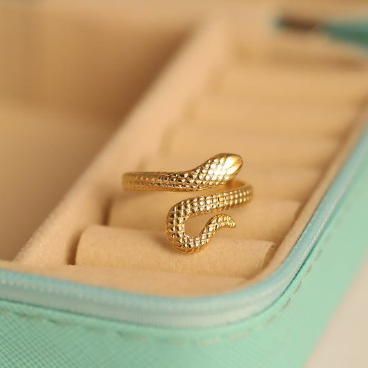 Snaky Fancy Ring